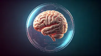 Related Stories banner