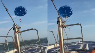 Man’s Goa Trip Turns Into Nightmare! Video Shows His Cable Snapping Mid-Air While Parasailing