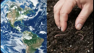 NASA Says Better Climate Research Needs Both Data And Experience