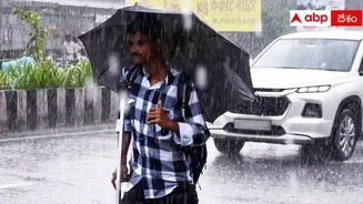 Rains In AP and Telangana: తెలంగాణలో పలు జిల్లాలకు వర్ష సూచన.. ఏపీలో ఈ జిల్లాల్లో పిడుగులు పడే అవకాశం