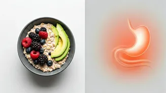 Morning Meal Matters: Unpacking the Breakfast Skipping & Belly Fat Link