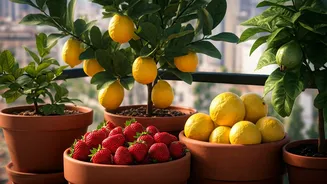 Balcony Bounty: Your Guide to Growing Delicious Fruits in Small Spaces
