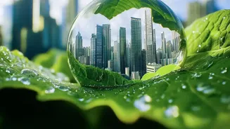 Why Cool-Roof Terrace Coatings Offer Affordable Climate Protection For City Residents