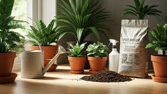 Every Plant Parent Should Know These Tips