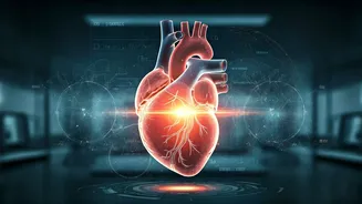 AI May Help Decode High Blood Pressure Damage