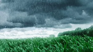 Why Rain-Soaked Landscapes Are Drawing More Holidaymakers Than Ever