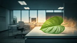 The 'Office Air' Phenomenon: Why Your Skin & Hair Seem to Wilt Indoors