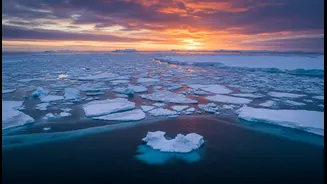 Missing Sea Ice Has Entered Youth Feeds