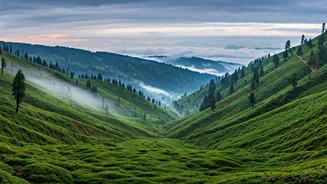 Hill Destinations Worth Exploring This Month