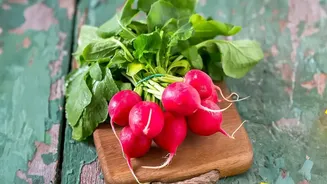 Radish vs Beetroot Explained Through Calories, Carbs and Key Vitamins