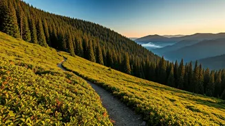Nature Is The New Weekend Destination