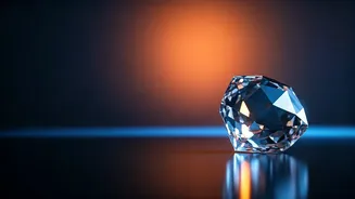 Unlocking Your Inner Drive: Exploring the Powerful Forces Shaping Your Life