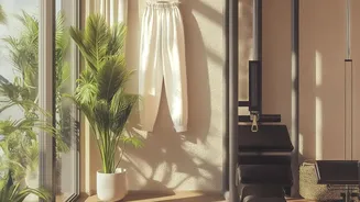 How Early Daylight Exposure Habits Protect Metabolic Function And Daytime Focus