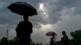 Karnataka Weather Forecast: ಕರ್ನಾಟಕದಲ್ಲಿ ಮಳೆ ಚುರುಕು, 7 ದಿನ ಅಬ್ಬರಿಸಲಿರುವ ವರುಣ