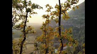 Best Time to Visit India: Seasonal Travel Guide