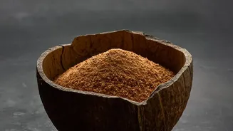 Coconut-Shell Gardening Is Easier When Every Planter Has a Job