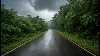 Heavy Monsoon Showers Across India Make These Travel Precautions Worth Remembering