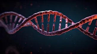 Why Healthy Lifestyle Feeds Focus On Longevity Debates