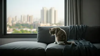 Why Cat Parenting Is Easiest Lifestyle Match For Mumbai