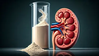 Gym Supplements & Your Kidneys: Unpacking Protein, Creatine, and Health Risks