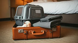 Pet Policies Are The Fine Print Travellers Check