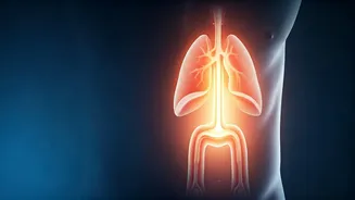 Related Stories banner