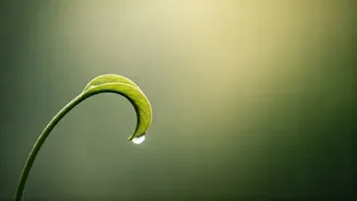 Short Meditation Sessions Can Still Actually Help
