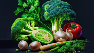 VMPL Content Discusses Protein Beyond Performance and Bodybuilding Messages