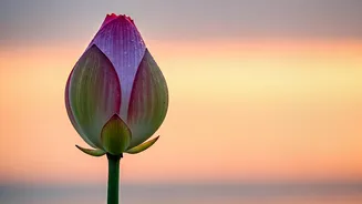 5 AM Affirmations: Start Your Day with Positivity and Inner Strength