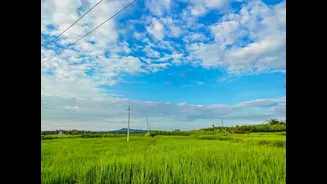 Monsoon Surge Reduces Karnataka's Power Demand by 25%