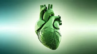 Unlock Lasting Well-being: 4 Simple 'Boring' Habits for a Healthier Future