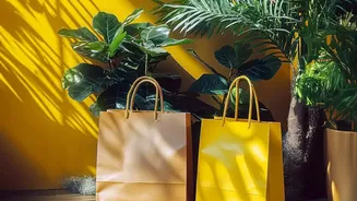 Researchers Explore How Indoor Plants Influence Modern Indoor Environments