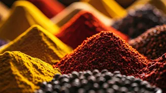 Navigating India's Diverse Gastronomy: A Culinary Exploration