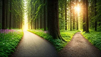 Related Stories banner