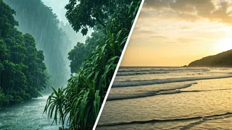 Assam And Goa Own Opposite Monsoon Moods