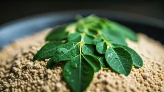 Related Stories banner