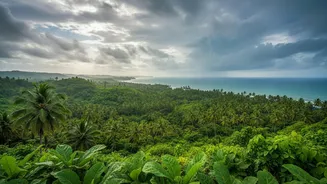 Short Monsoon Breaks Are Driving Fresh Travel Interest in Goa
