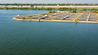 Delhi's Future: Cleaning the Yamuna & Modernizing Infrastructure