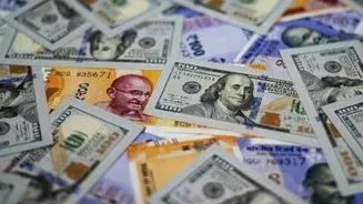 Indian rupee gains 13 paise to 95.15 after RBI hold
