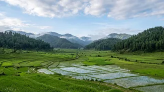 Best homestays for Ziro work-cations