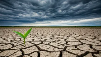 Rainfall Forecast Sparks Interest Across India