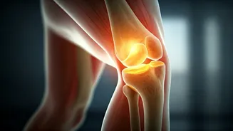 Why Next-Gen India Focuses On Healthy Joint Mobility Over Powerlifting