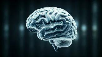 Avoid These 7 Daily Habits For A Sharp Brain