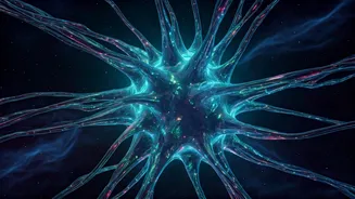 Related Stories banner