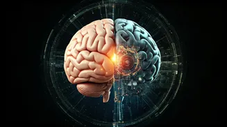 Creative Skills Could Outlast Technical Skills