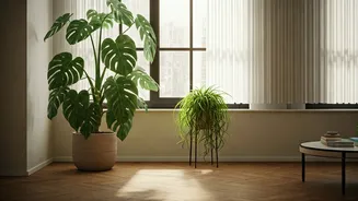 Pet-Friendly Plants Are Becoming Decor Main Characters
