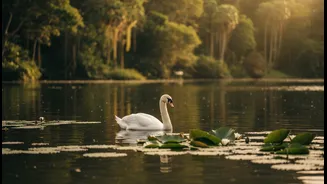 Rainforest Trails and Swan Lake Make Singapore Botanic Gardens More Than an Orchid Stop