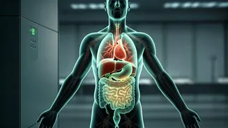 Beyond Weight: Unpacking India's Hidden Health Crisis and Societal Shifts