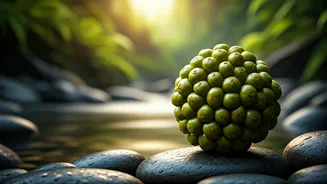 Unlock Nature's Secret: The Amazing Health & Beauty Benefits of African Soapberries