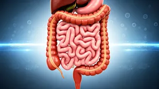 Healthy Habits: Fueling Your Heart, Brain & Gut